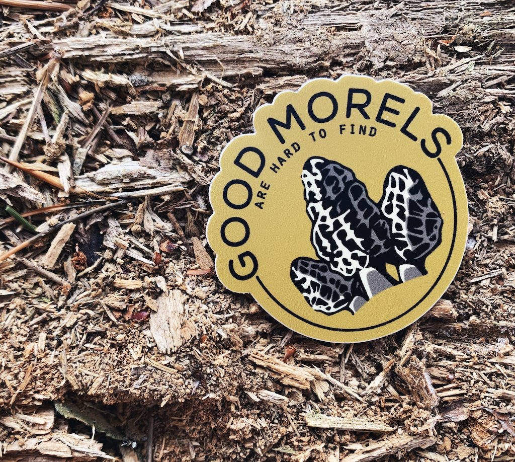 Morel Sticker - jacobandlouise.com